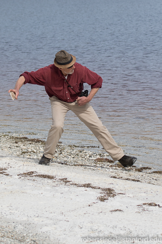 Nick skipping stone